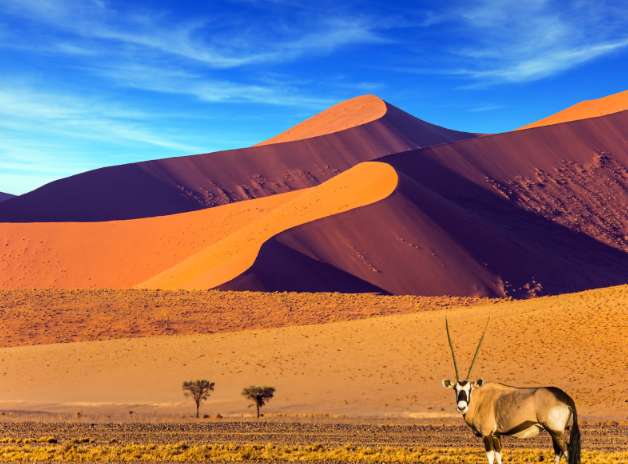 Viaggio in Namibia 2024: guida completa per un’esperienza straordinaria nel cuore dell’Africa