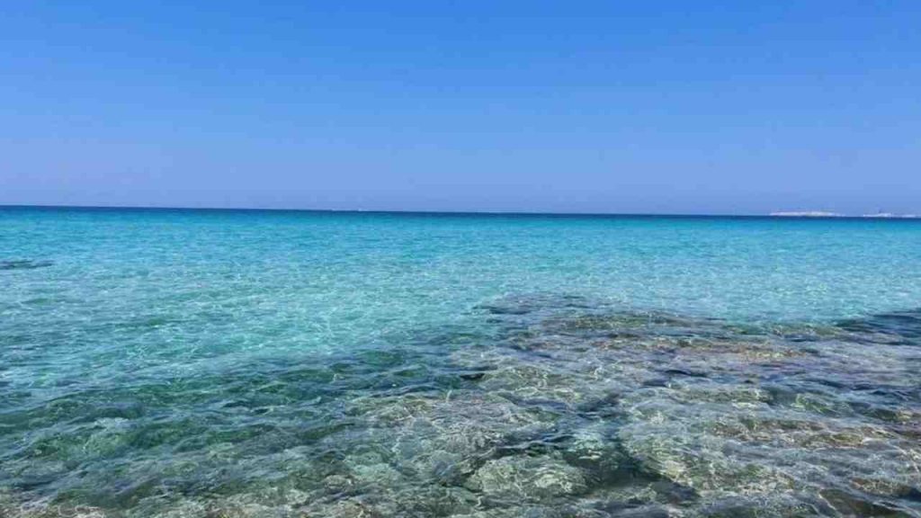 Spiaggia "Punta della Suina"