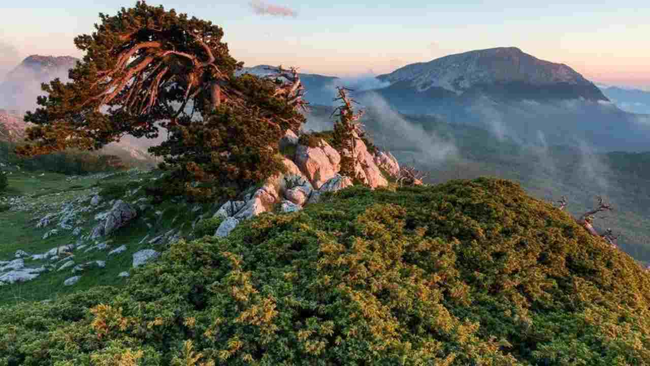 Parco Nazionale del Pollino