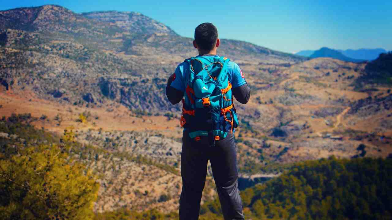 Escursioni in estate, vi attende il bosco di Montedimezzo | In pochi conoscono questa perla d’Italia