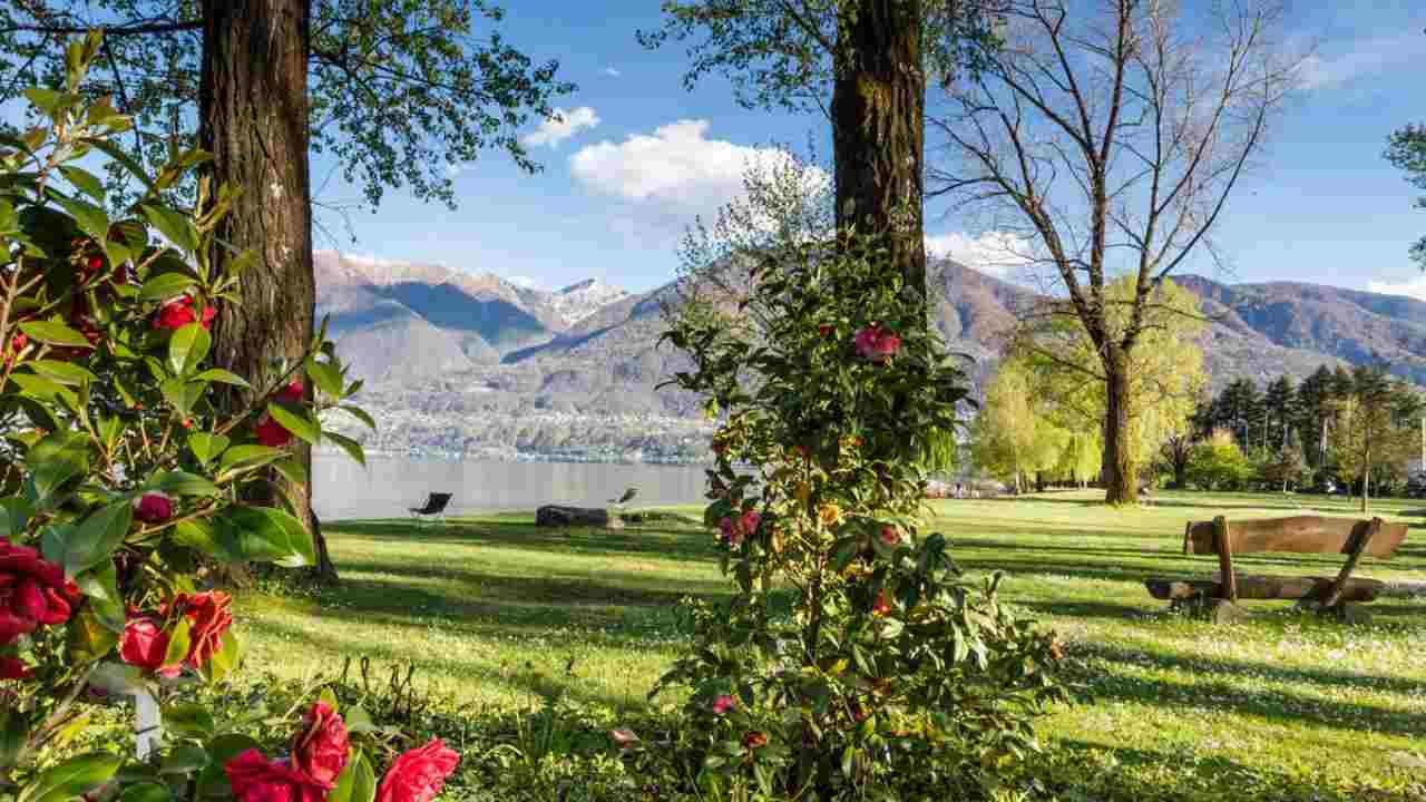 Parco delle Camelie, Locarno - Tendenzediviaggio.it