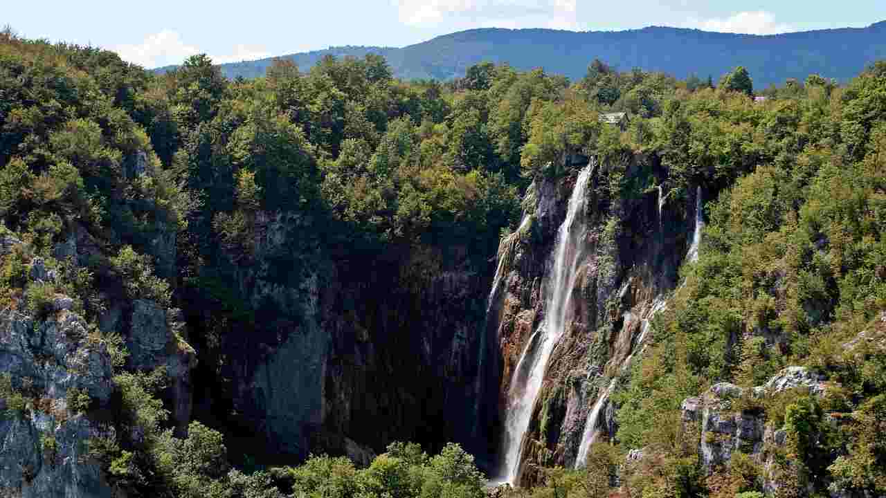 Il Parco naturale più bello d’Europa si trova a 2 passi da Ancona | Se ci vai ad agosto trovi SUPER ospiti: i tuoi figli saranno felicissimi