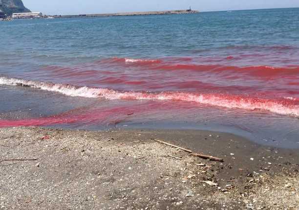 Castellammare di Stabia: il mare torna balneabile dopo mezzo secolo