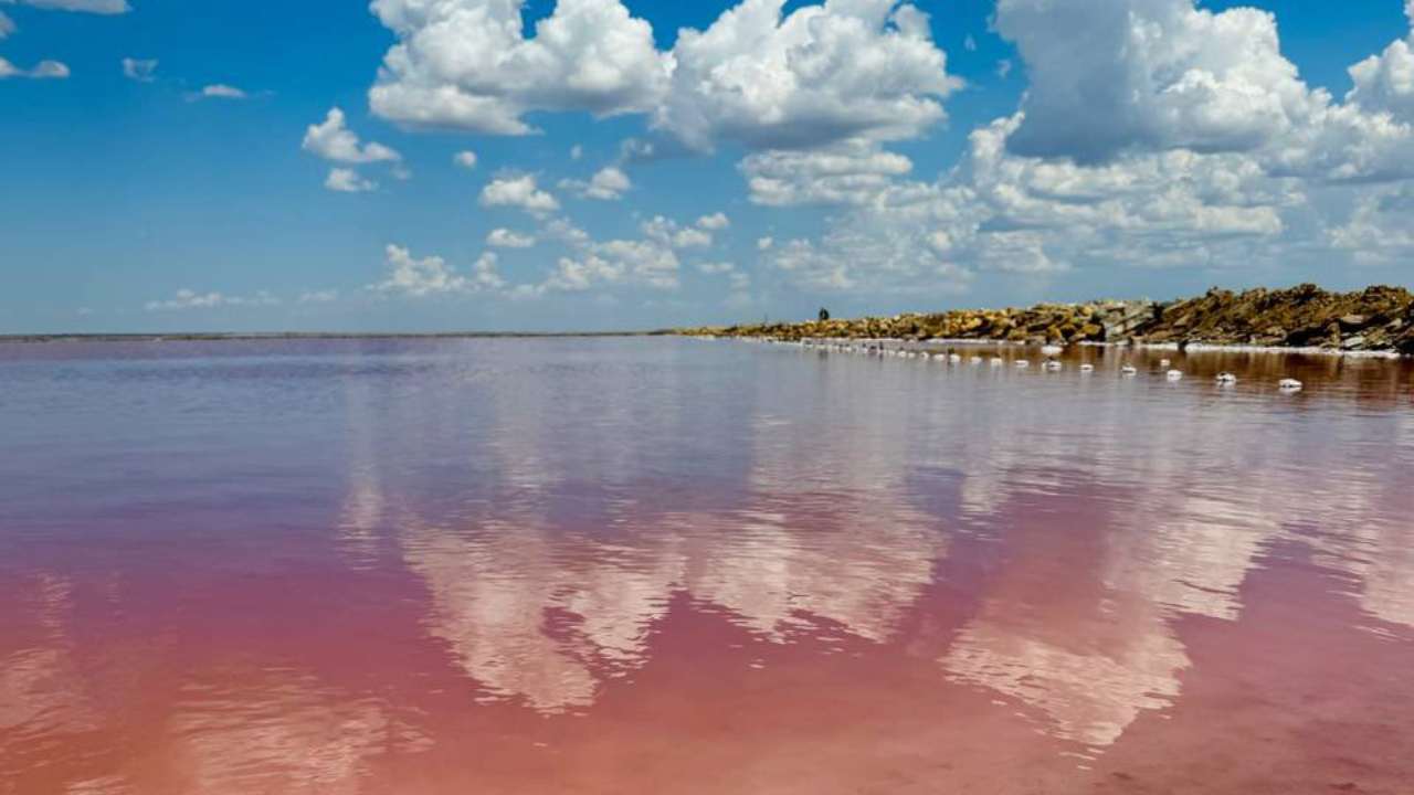 In Crimea si trova un lago rosa: non si tratta di un trucchetto per i turisti | Cosa si nasconde davvero dietro questo strano colore