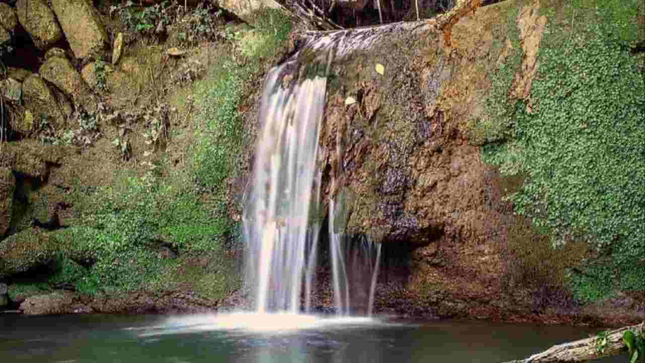 Lontano dai rumori della città e immerso nel verde: questo sentiero delle Marche è imperdibile | Ci puoi andare con tutta la famiglia