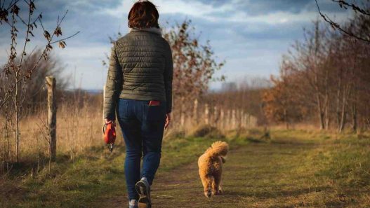 Donna passeggia con il suo cane in campagna d'inverno