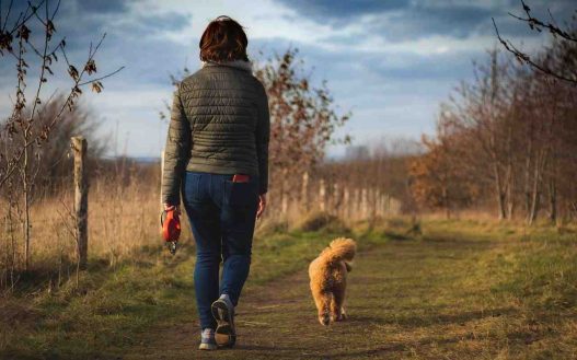 Donna passeggia con il suo cane in campagna d'inverno