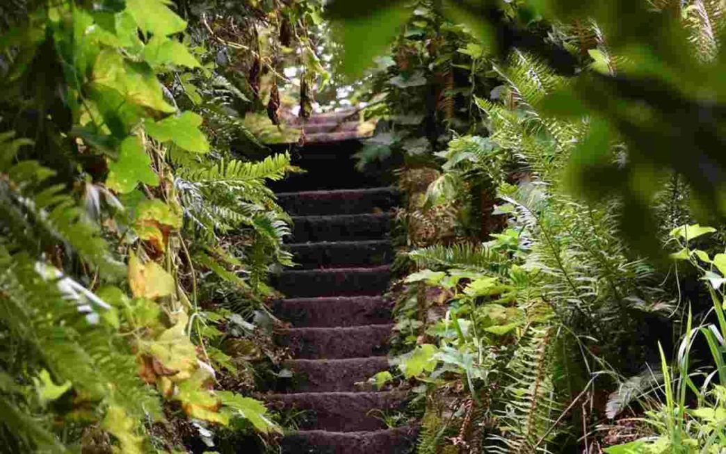 Scala nella natura